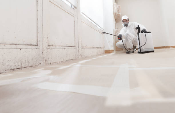 24/7 Emergency Mold Remediation experts in Hermitage, TN